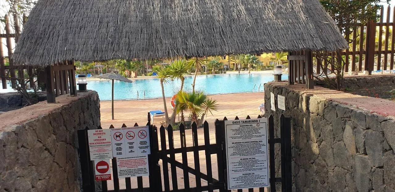 Tamarindo I Piscinas De Agua Salada Lägenhet Corralejo 0*,