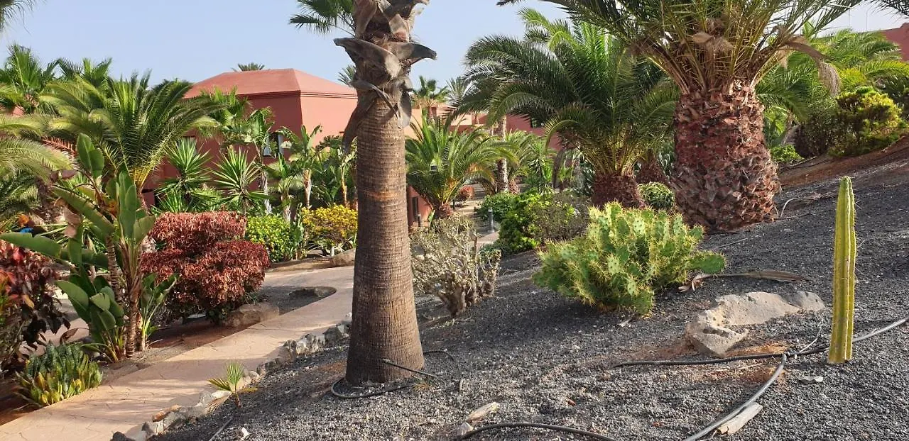 Tamarindo I Piscinas De Agua Salada Lägenhet Corralejo