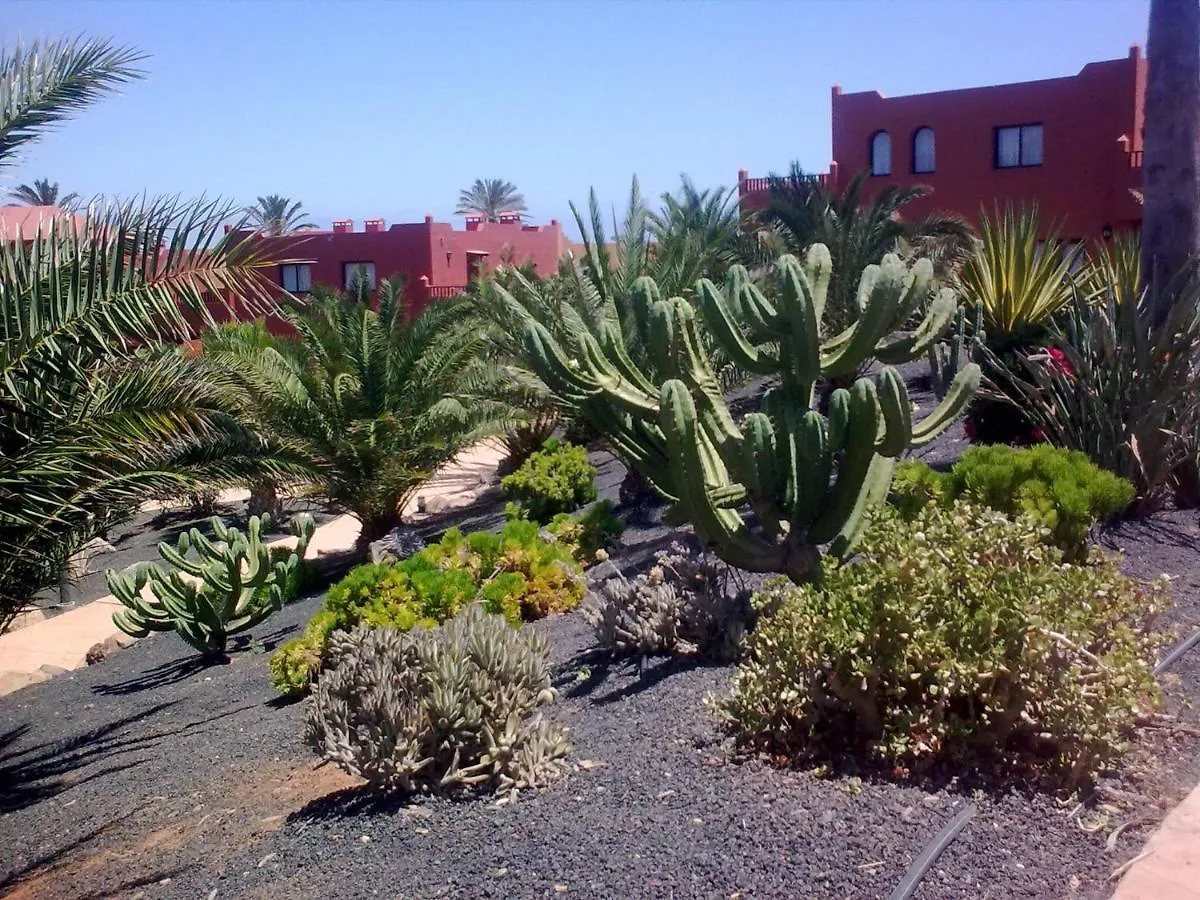 Apartamento Tamarindo I piscinas de agua salada - fibra óptica Corralejo 0*,  España